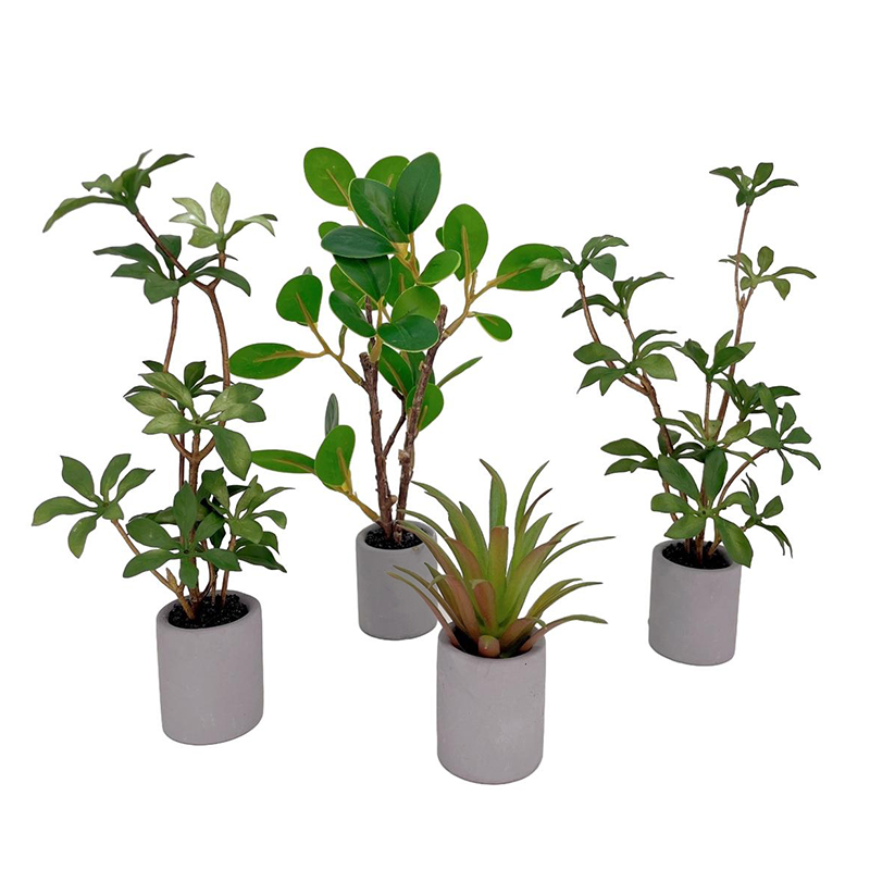 Bonsai Garden Plants - 1:6 Dollhouse Miniature Potted Plant Green
