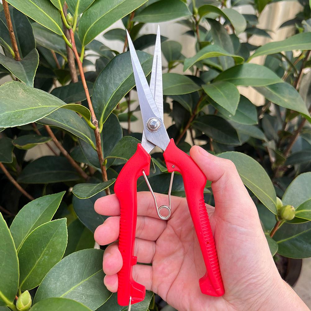 Bonsai Garden Plants - Pro Garden Pruning Shears Lengthened Tree