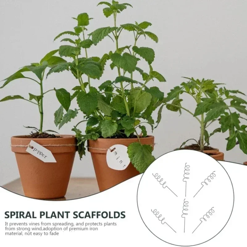 Climbing Plant Support Stake S - Bonsai Garden Plants ulasan dan harga