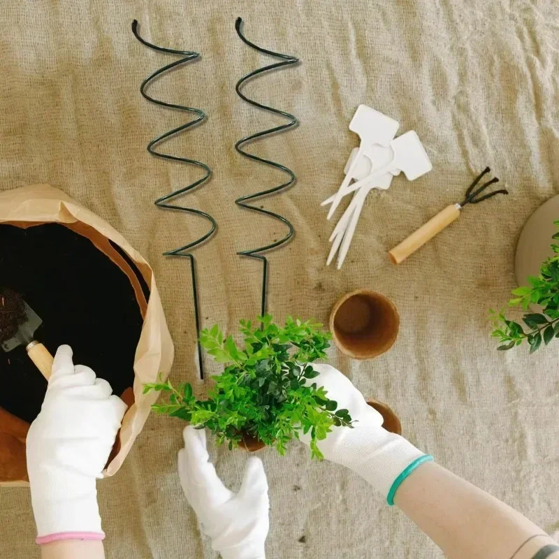 Climbing Plant Support Stake S - Bonsai Garden Plants ulasan dan harga