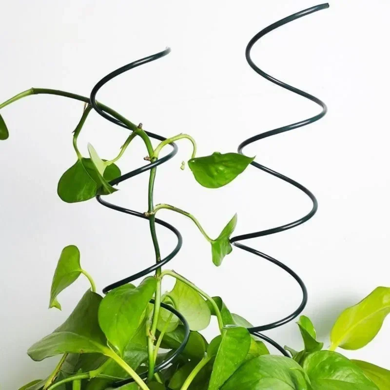 Climbing Plant Support Stake S - Bonsai Garden Plants ulasan dan harga