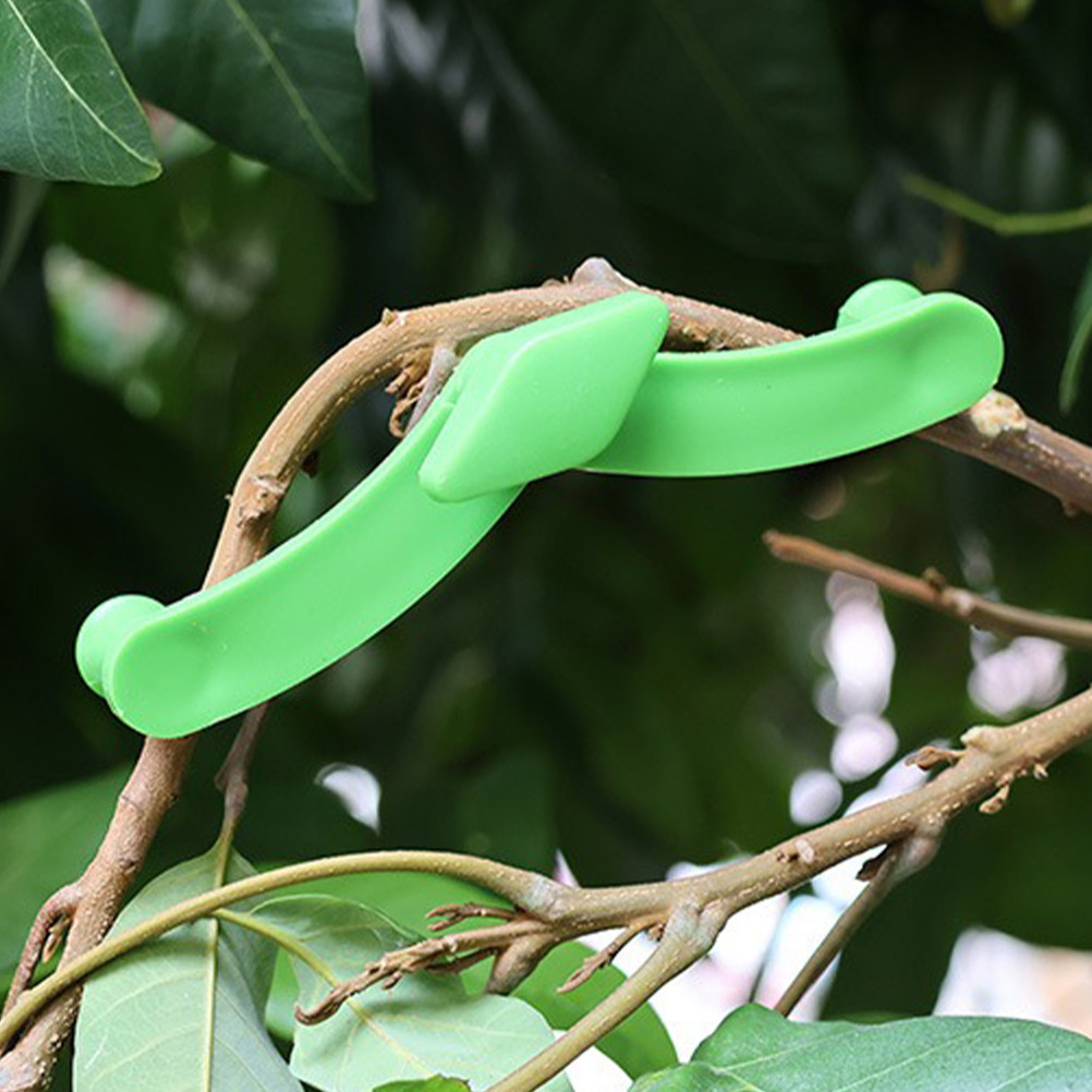 5Pcs Bonsai Branch Stabilizer  - Bonsai Garden Plants ulasan dan harga