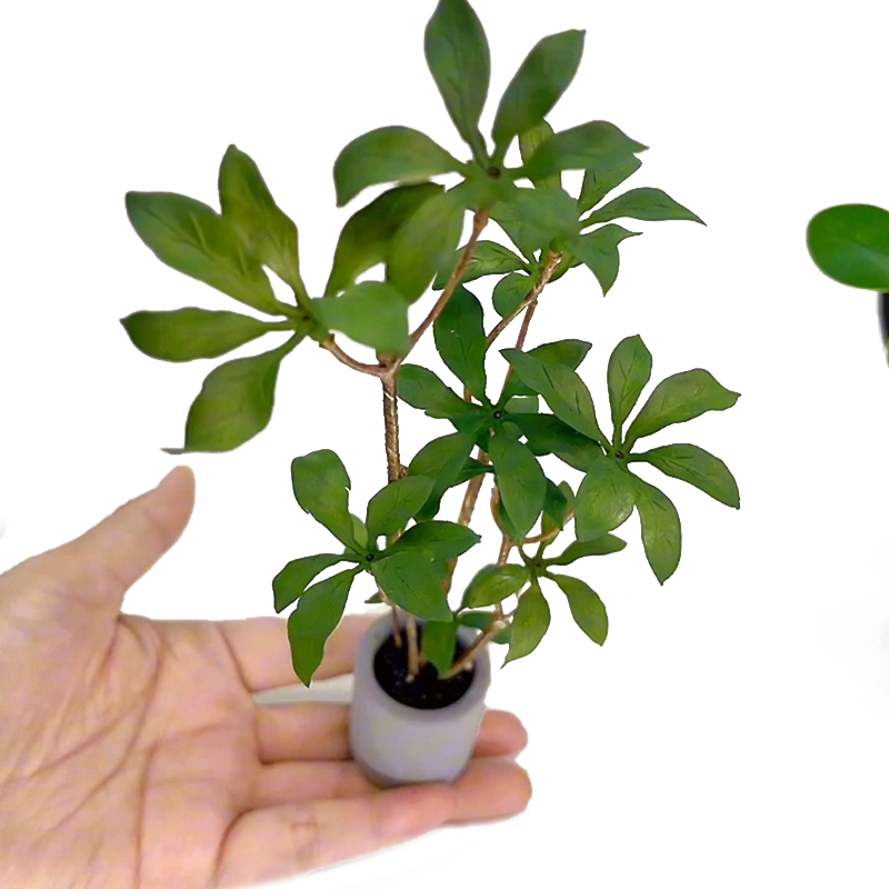 1:6 Dollhouse Miniature Potted - Bonsai Garden Plants ulasan dan harga