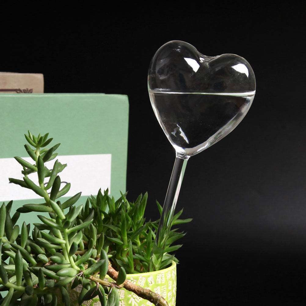 3Pcs Heart Shaped Glass Self W - Bonsai Garden Plants ulasan dan harga
