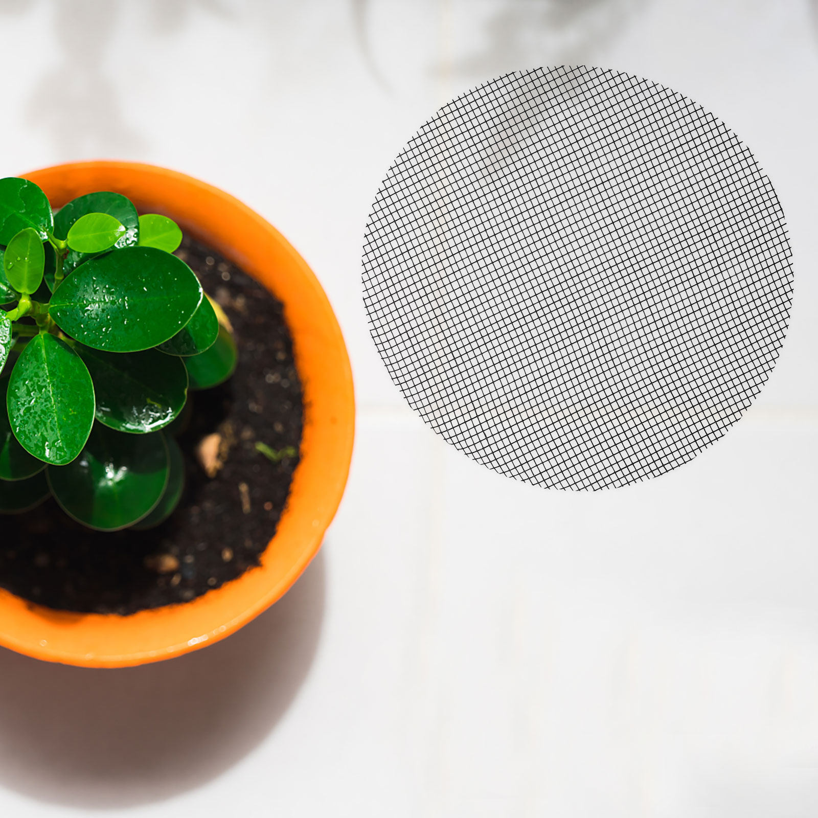 50Pcs Flower Pot Hole Mesh Pad - Bonsai Garden Plants ulasan dan harga