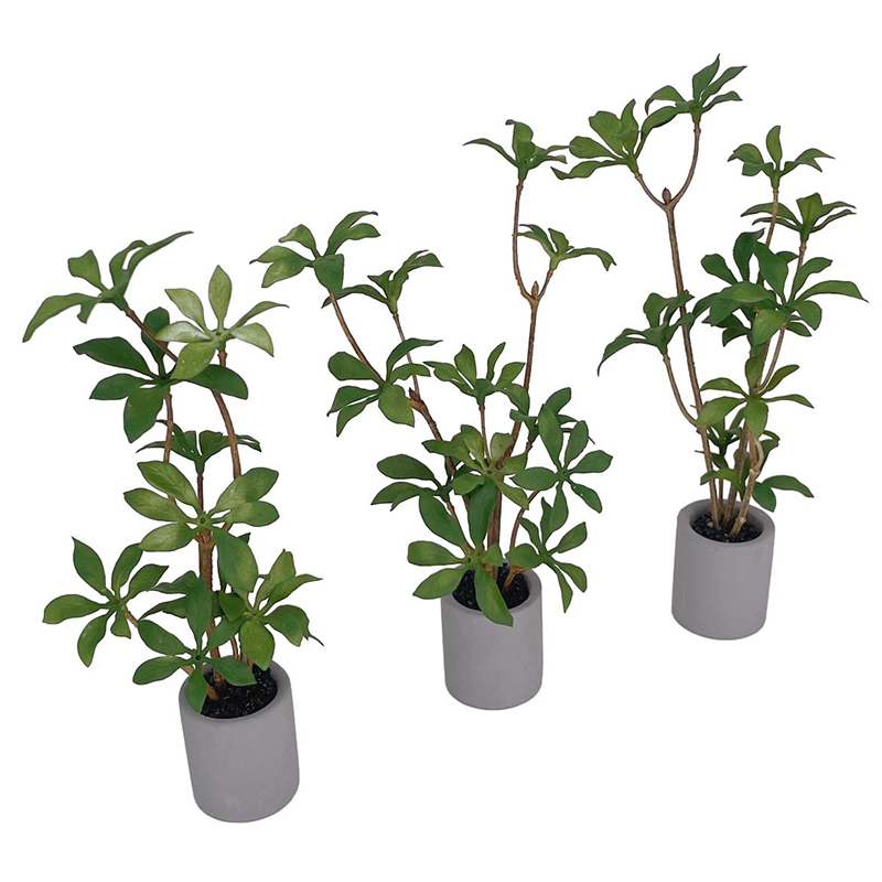 1:6 Dollhouse Miniature Potted - Bonsai Garden Plants ulasan dan harga