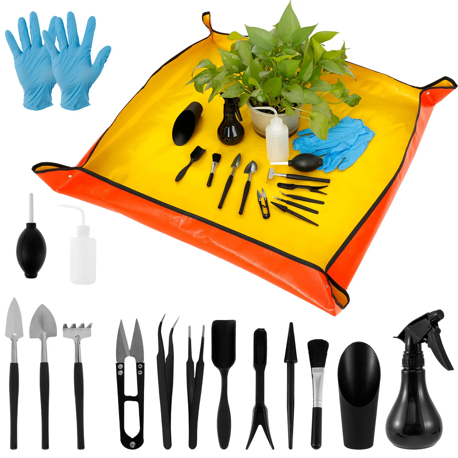 13/16Pcs Garden Succulent Plan - Bonsai Garden Plants ulasan dan harga