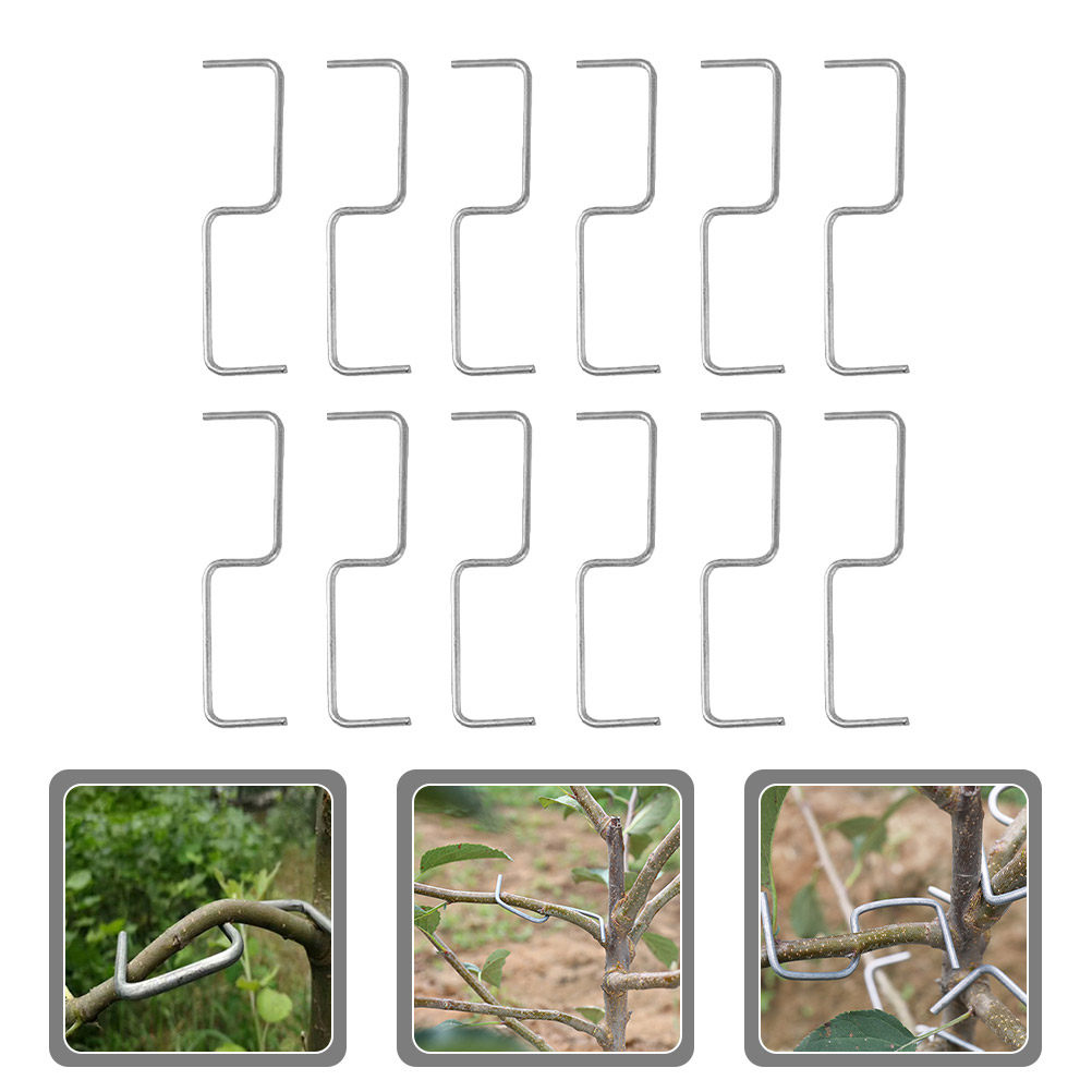 1Set Plant Branches Trainer Br - Bonsai Garden Plants ulasan dan harga