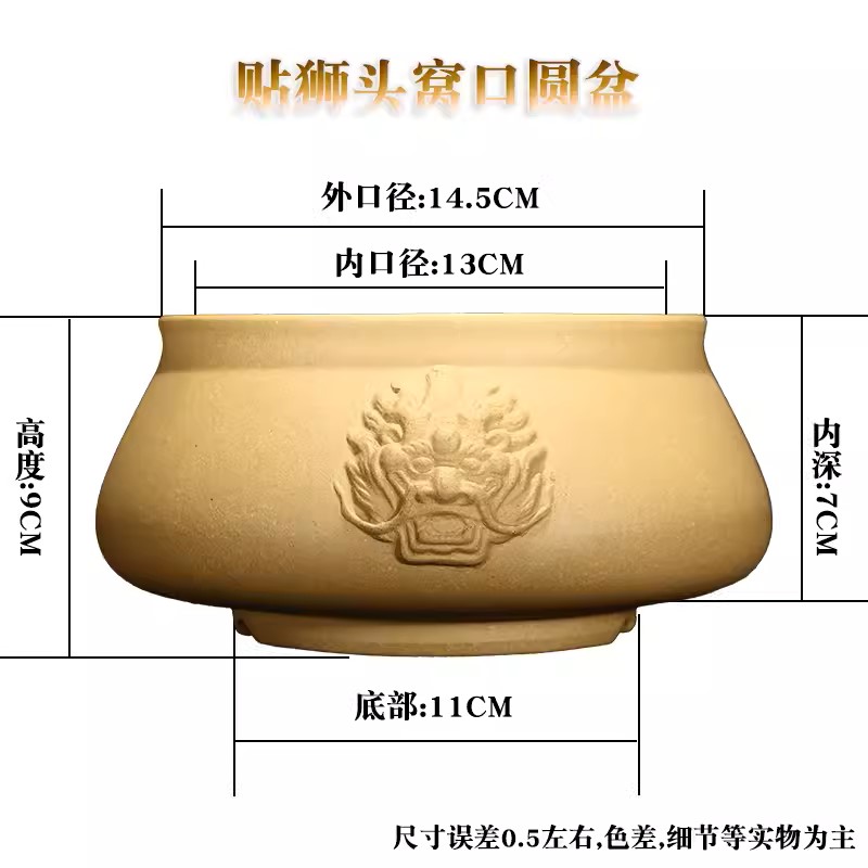 Round Circle Lion Head Bonsai  - Bonsai Garden Plants ulasan dan harga