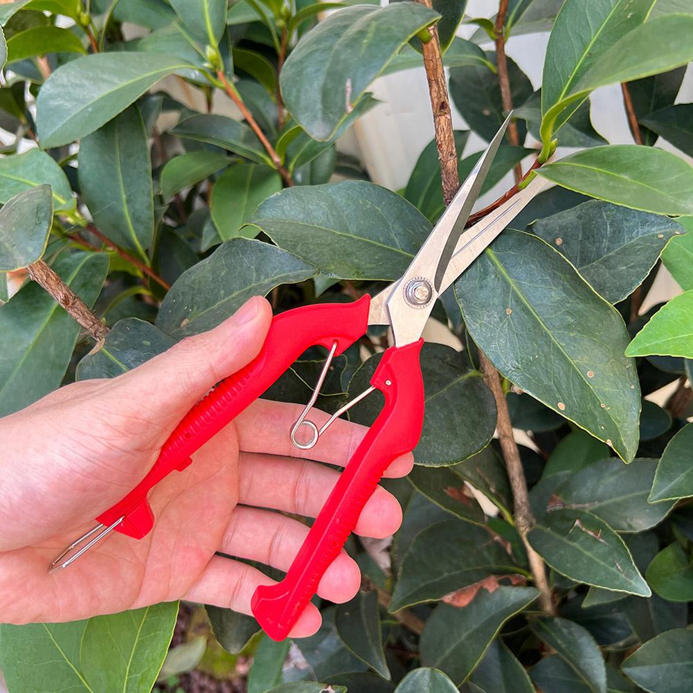Pro Garden Pruning Shears Leng - Bonsai Garden Plants ulasan dan harga