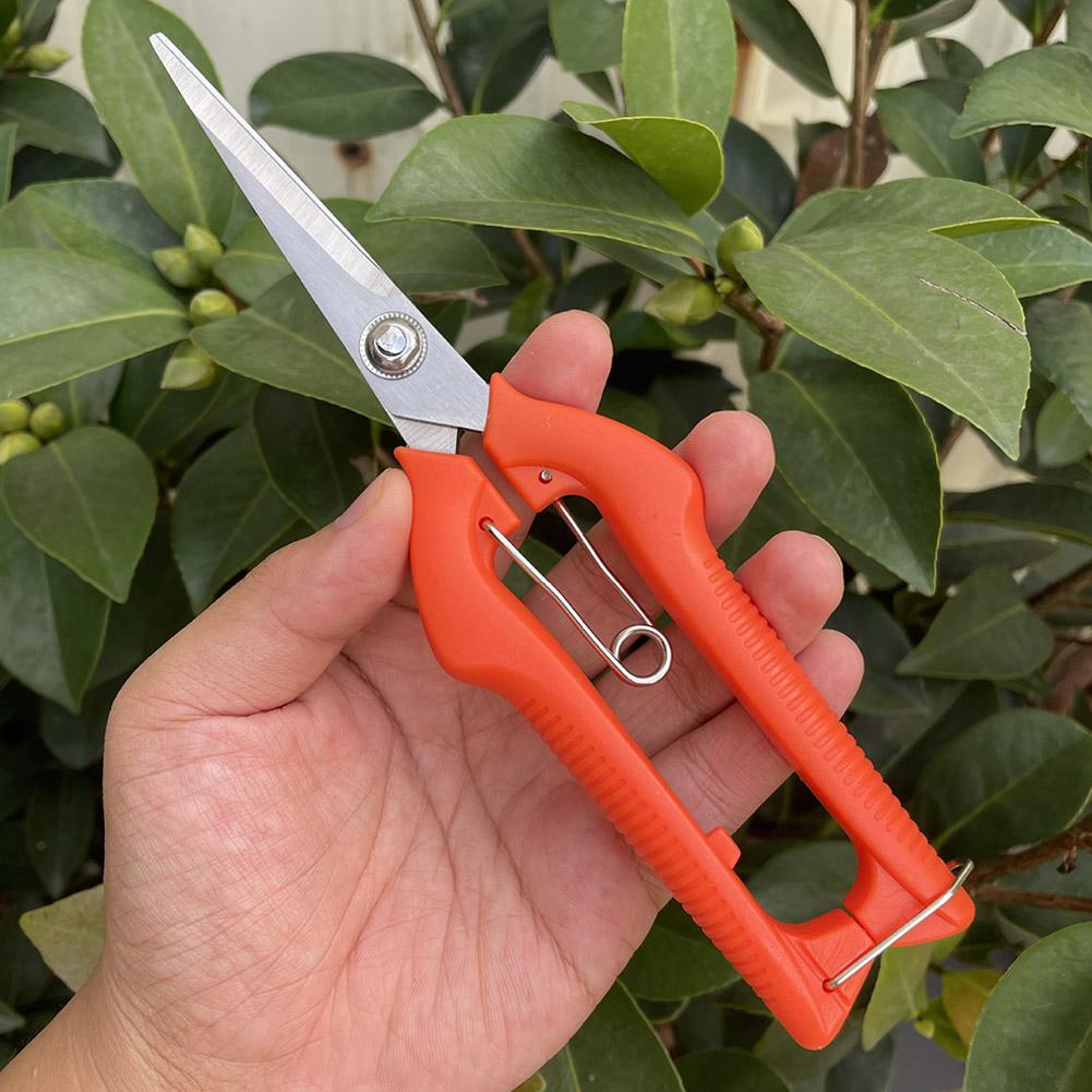 Pro Garden Pruning Shears Leng - Bonsai Garden Plants ulasan dan harga