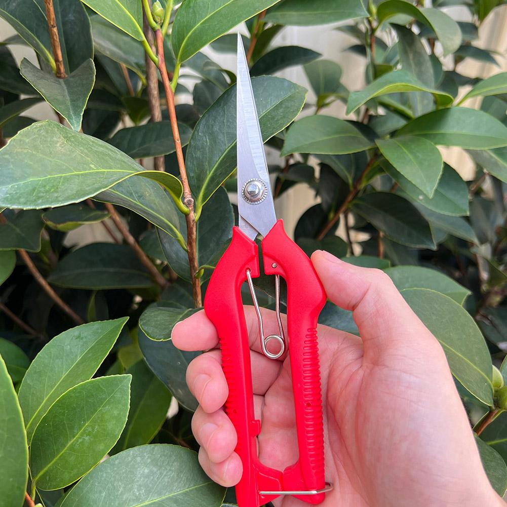Pro Garden Pruning Shears Leng - Bonsai Garden Plants ulasan dan harga