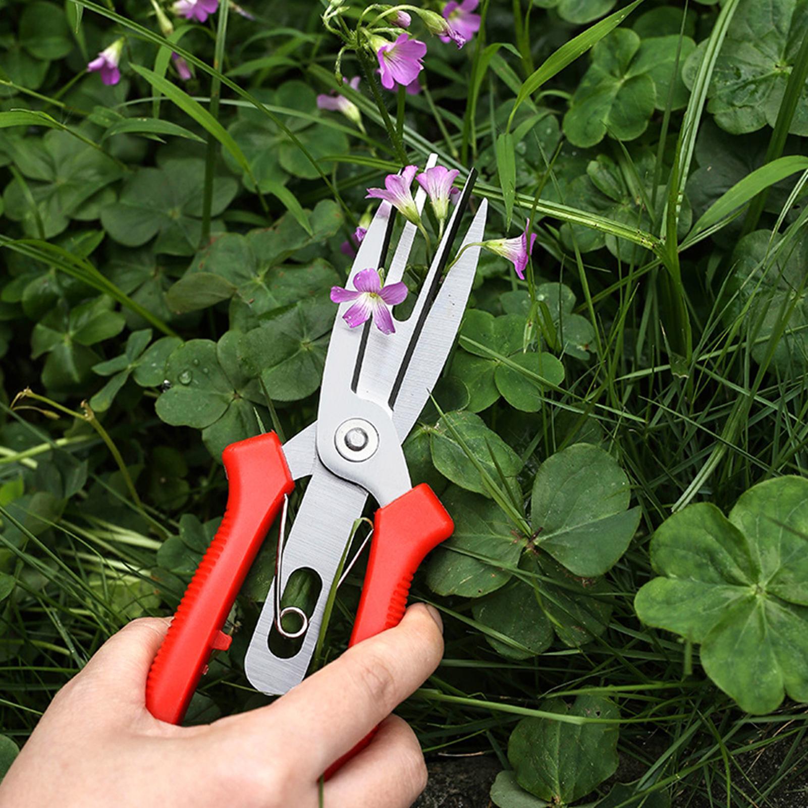 Garden Shears Stainless Steel  - Bonsai Garden Plants ulasan dan harga